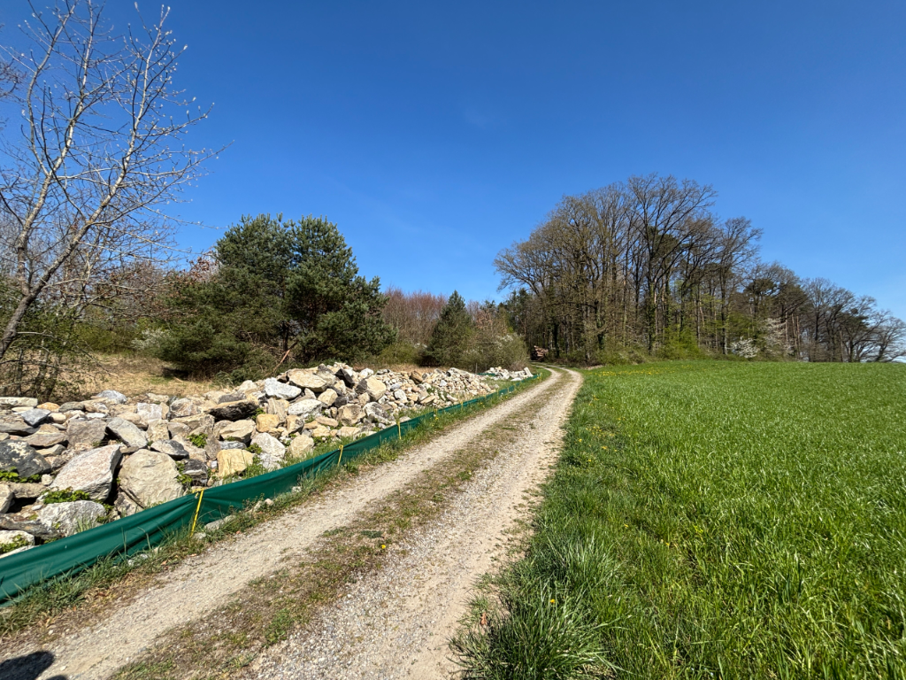 Abstimmung des Kleintierzauns von Adlikon bis Ohringen
